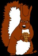 ias squirreljak stroopwafel // 206x303 // 45KB